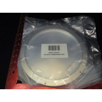 Applied Materials (AMAT) 0020-30407 PERF. PLATE 200MM BW