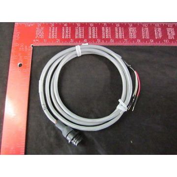 CAT 551013940 CABLE FROM DCE CONTROLLER TO GAS MODULE