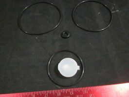 Lam Research (LAM) 100001691 ISO valve 80 Seal Set