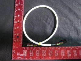 AXCELIS 423621 CABLE ASSY